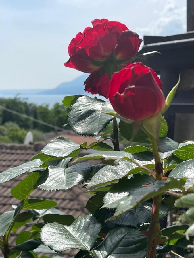 Le Due Terrazze Vila Brenzone sul Garda Exterior foto