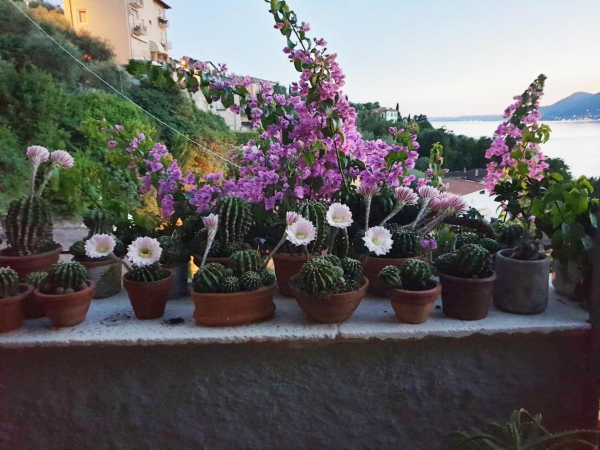 Le Due Terrazze Vila Brenzone sul Garda Exterior foto