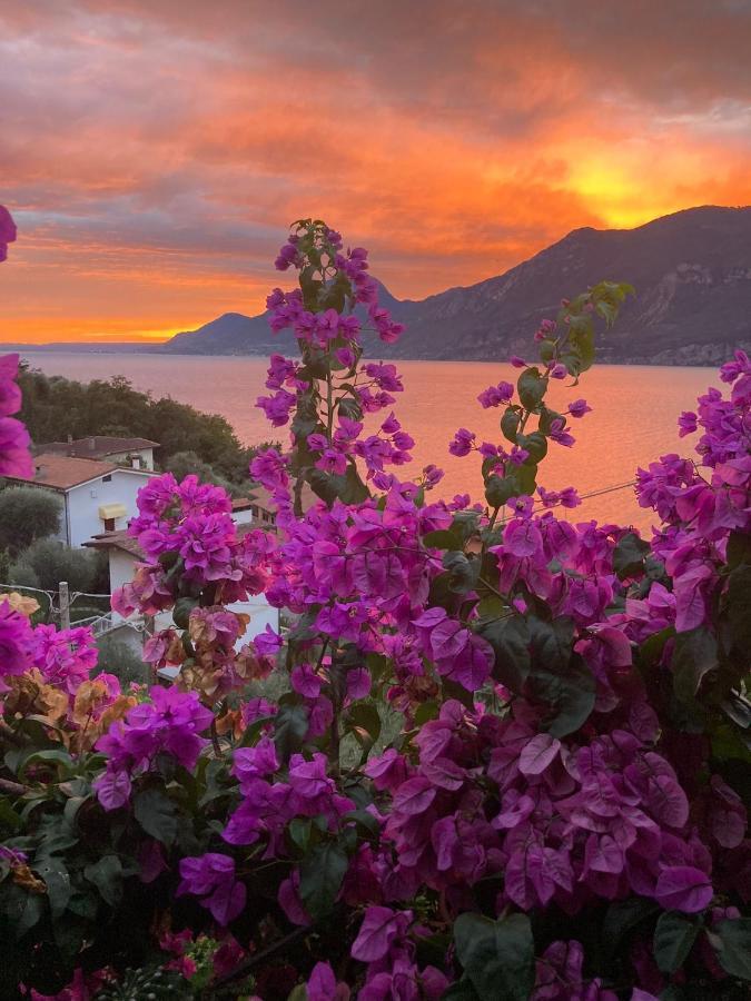 Le Due Terrazze Vila Brenzone sul Garda Exterior foto